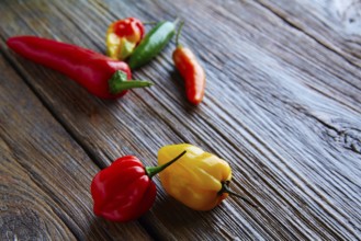 Mexican hot chili peppers colorful mix habanero poblano serrano jalapeno sweet on wood