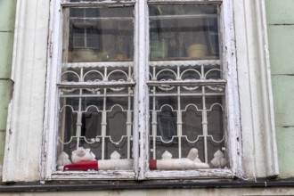 Old wooden window, symbol for old building, need for renovation, decay Austria
