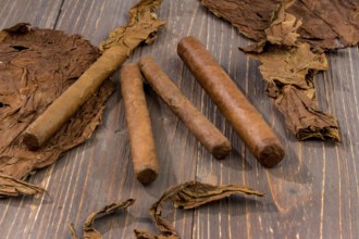 Leaves of tobacco and finished cigars lie side by side. Austria