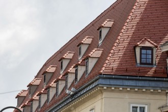 The top floor of a townhouse was converted into elegant flats in Austria