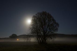 Mystical moonlit night with fog 1