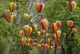A picture of multiple colorful balloons decorating the Margaret Island