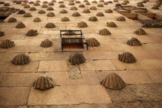 Casa de las Conchas shell house in Salamanca of Spain