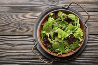 Top view at clay dish with green and violet lettuce, lamb's lettuce salad with oregano flowers on