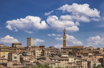 Siena is a city in Tuscany, Italy. It is the capital of the province of Siena