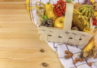 Lovely autumn decoration with all sorts of pumpkins, corn, grain, sunflower and forest fruits, set