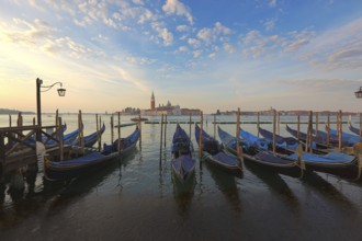 Venetian gondolas at sunrise, Venice, Italy, Europe