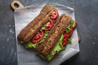 Two dark ciabatta sandwiches with green salad, ripe red tomatoes, onion and tuna on rustic concrete