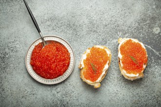 Small metal plate with red salmon caviar and two caviar toasts canape on grey concrete background,
