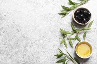 Black olives and extra virgin olive oil in little bowl with olive tree branches top view on white