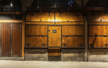 Vintage old door, concept for security, safety, secret, privacy, protection