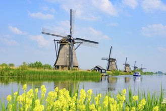 The windmills in Kinderdijk, a UNESCO World Heritage site in Rotterdam, Netherlands