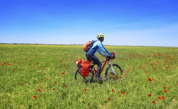 Biker by Camino de Santiago in bicycle at Saint James Way of Levante of Spain
