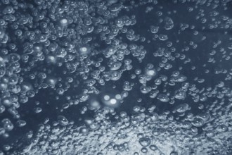 Air bubbles, underwater bubbles Abstract Background