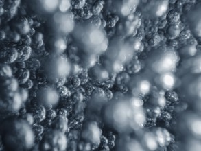 Air bubbles, underwater bubbles Abstract Background