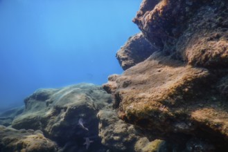 Sea Life Underwater Rocks Sunlight, Underwater Life