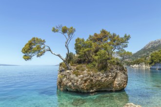 Stone Brela (Kamen Brela) near Punta Rata Beach along the Adriatic Sea in Brela, Croatia, Europe