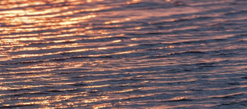 Sunset Water Surface, Water Surface, Sea surface, Water background