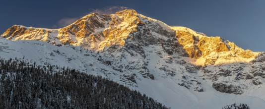 Panorama Shot of the Ortler Mountain in the European Alps at Sunrise