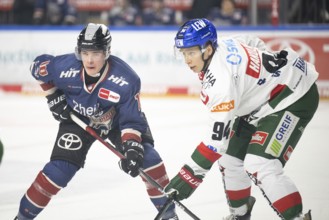 Laura Dick Cologne, LanxessArena, North Rhine-Westphalia, Justin Schütz (Cologne Sharks, #10),