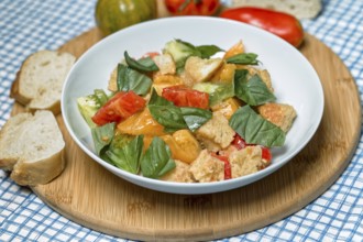 Colourful tomato bread salad with basil in a white bowl