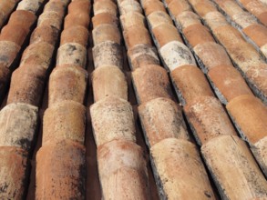 A close up of old curved orange terracotta pantiles on a roof