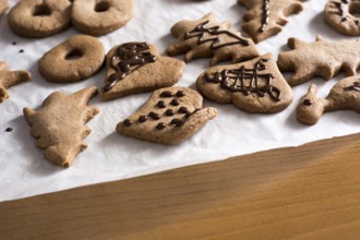 Decoration on gingerbread cookie close up. Baking with children
