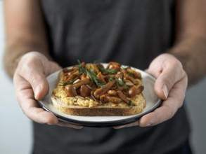 Hands takes plate with vegan sandwich. Healthy appetiezer - whole wheat bread toast with chickpea