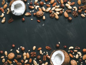 Background of mixed nuts - coconut, hazelnuts, walnuts, almonds, pecan, pistachio, brazil nut, pine