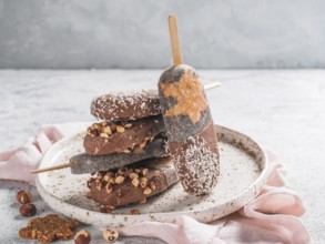 Chia popsicle with raw carrot cake and chocolate on gray background. Healthy recipe and idea
