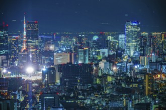 Tokyo night view seen from the observation deck of the Tokyo Metropolitan Government Building.
