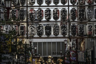 Sanja Matsuri lanterns and portable shrine. Shooting Location: Tokyo metropolitan area