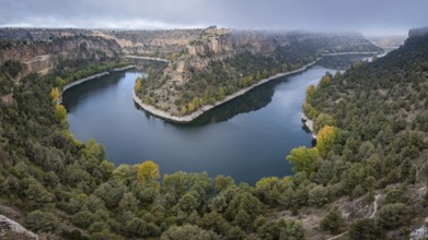 Meander, Las Hoces del Río Duratón Natural Park, Segovia province, Spain, Europe