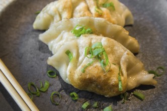 Beautiful gyoza or dumplings snack with soy sauce, selective focus, copy space