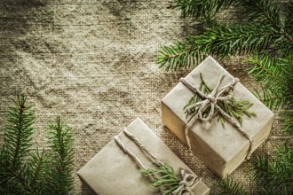Present boxes thuya pine tree branch on sacking background