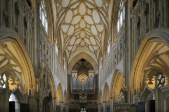 Choir, Cathedral of St Andrew of Wells, Somerset, England, Great Britain