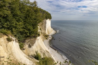 Rügen's coast
