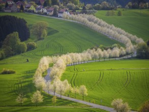 Sunset at Adamsberg, Altendorf, Saxony, Germany, Europe
