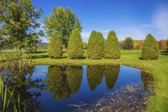Small quiet pond with water mirror reflecting the blue sky. Phenomenally beautiful park with autumn