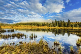 Patricia Lake among the firs and pines. Water reflects the sky. Cool cloudy morning in the Rocky