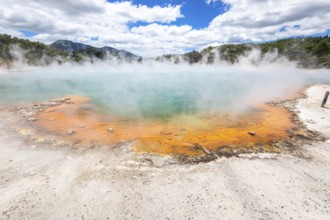 An image of the hot sparkling lake in New Zealand