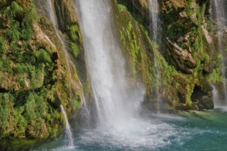 Close-up of waterfall with lush vegetation and wet moss, Topoljski Buk Kovacic Dalmatia Croatia