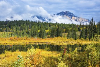 Lake amongst the evergreen forests, yellowed shrubs and mountains. Warm autumn day in Jasper Park,