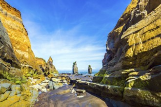 Picturesque rocks Three Sisters on the Pacific coast. North Island, New Zealand. The concept of