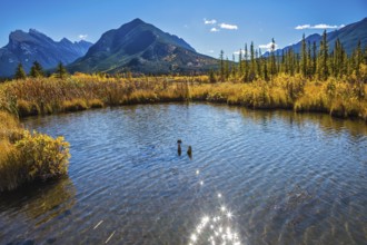 Magic Vermillon lake in the Rocky Mountains of Canada. Solar glare in smooth water. Concept of