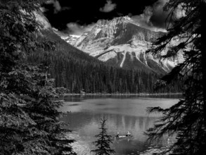 Two people paddle in a canoe on Emerald Lake surrounded by the Canadian Rocky Mountains and thick