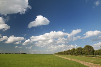 Many wind mills power turbines in landscape with cloudy sky