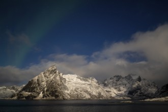 Northern Lights (Aurora borealis), Aurora Borealis, Norway, Lofoten, Europe