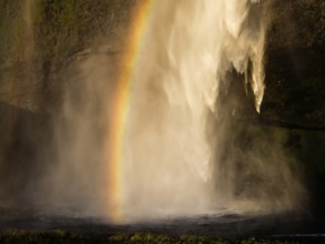 Rainbow at Seljalandsfoss waterfall, South Iceland, Iceland, Europe