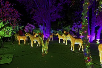 Illumi light show event, 25 million lights, the magical forest, Laval, Province of Quebec, Canada,